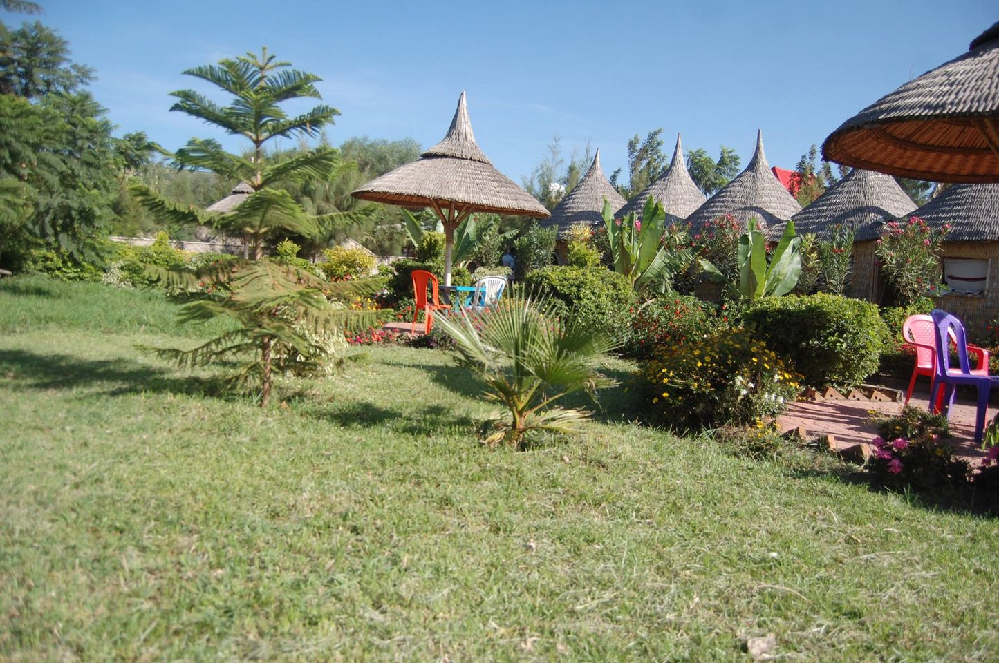Flora Park